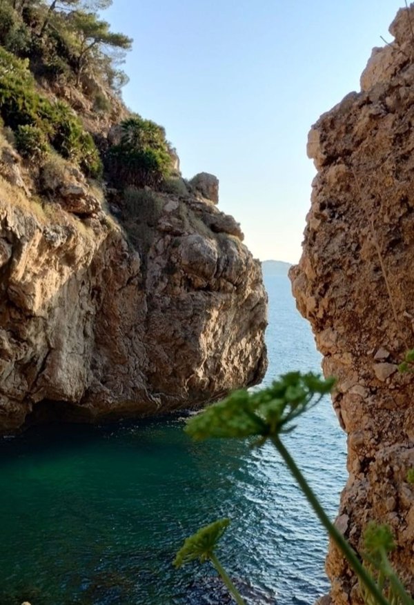 casa indipendente in vendita a Terrasini