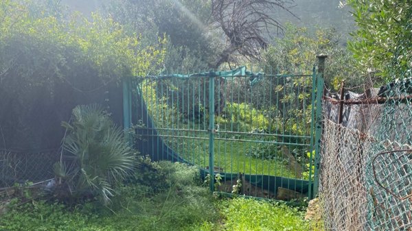 negozio in vendita a Terrasini