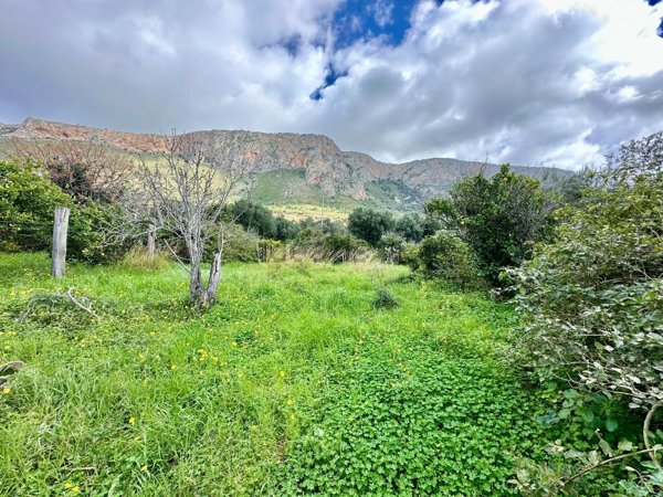terreno agricolo in vendita a Terrasini