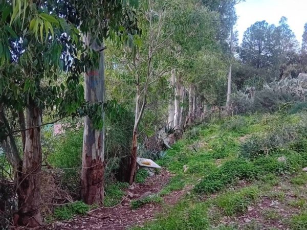 terreno agricolo in vendita a Terrasini in zona Paterna