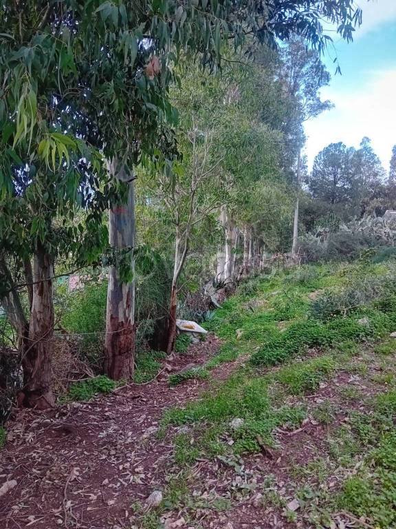 terreno agricolo in vendita a Terrasini in zona Paterna