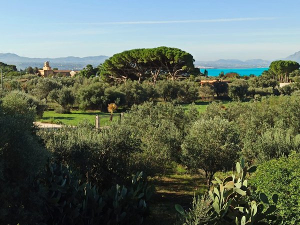 terreno agricolo in vendita a Terrasini in zona Paternella