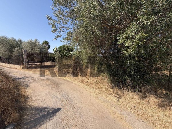 terreno agricolo in vendita a Terrasini in zona Paternella