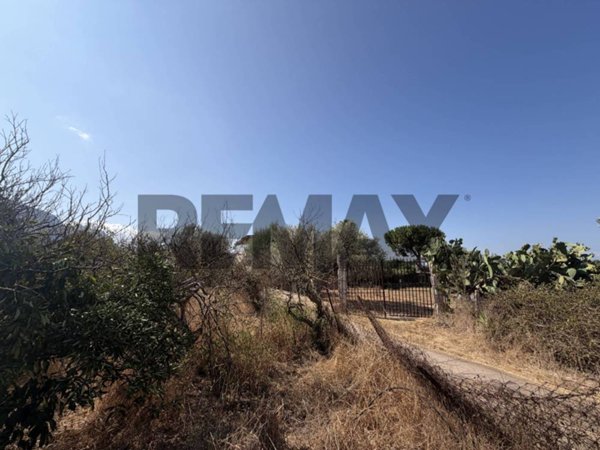 terreno agricolo in vendita a Terrasini in zona Paternella
