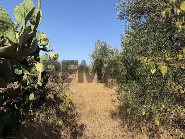 terreno agricolo in vendita a Terrasini in zona Paternella