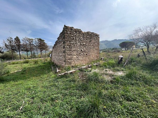 terreno agricolo in vendita a Torretta