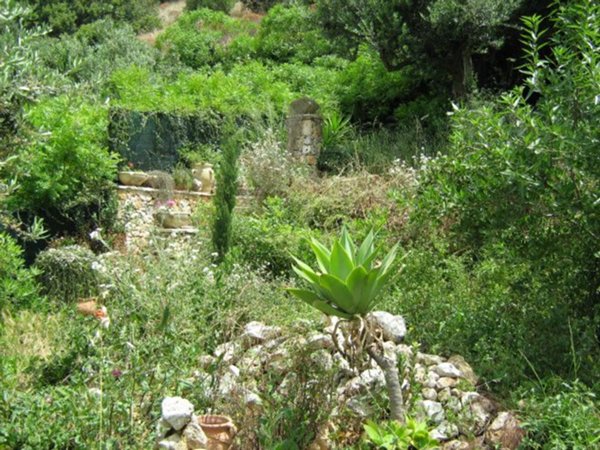 terreno agricolo in vendita a Torretta