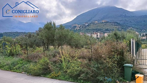 terreno agricolo in vendita a Torretta