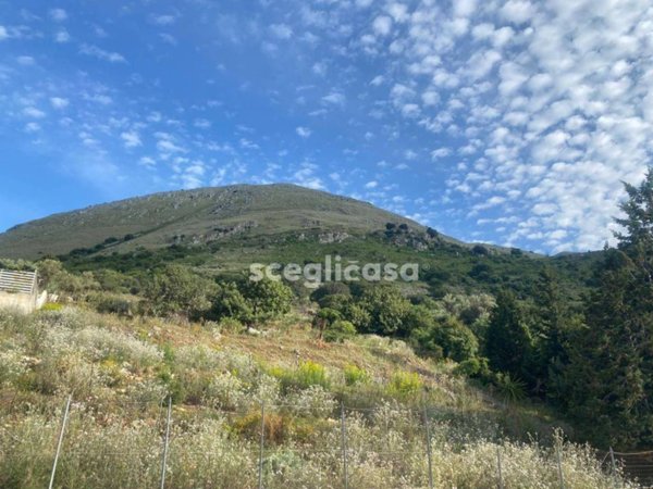 terreno agricolo in vendita a Torretta