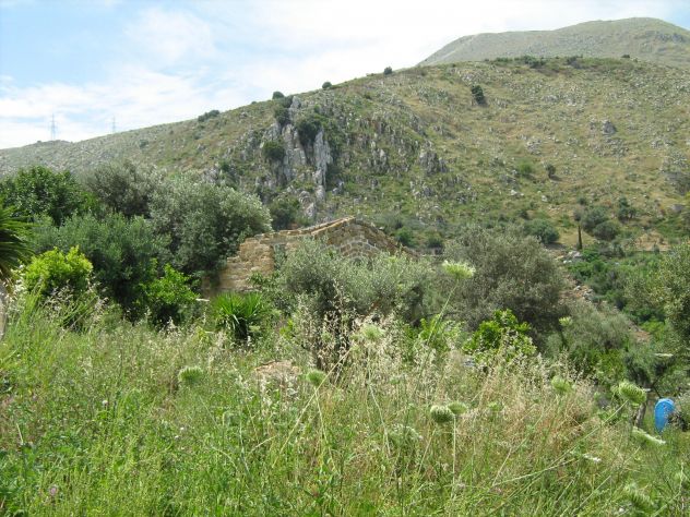 terreno agricolo in vendita a Torretta