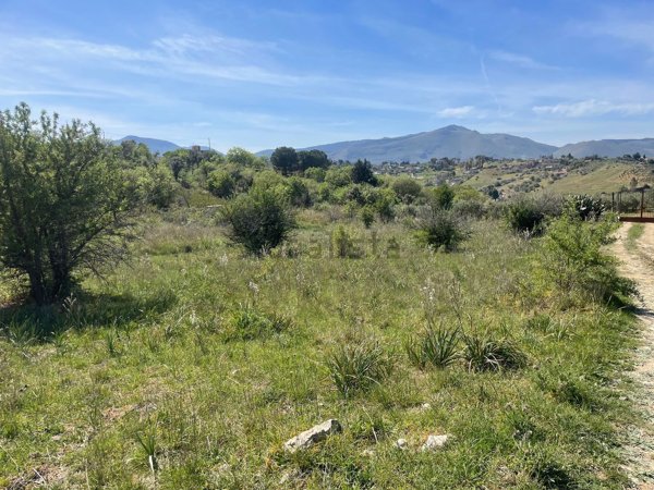 terreno agricolo in vendita a Torretta