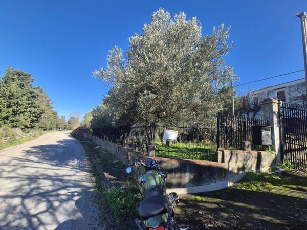 appartamento in vendita a Torretta