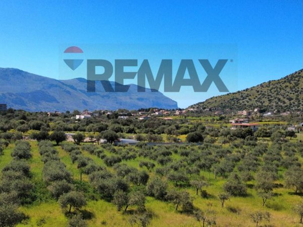terreno agricolo in vendita a Torretta