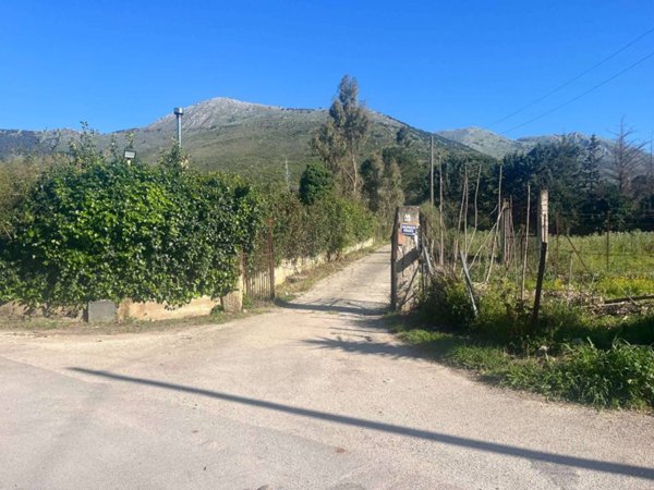 terreno agricolo in vendita a Torretta
