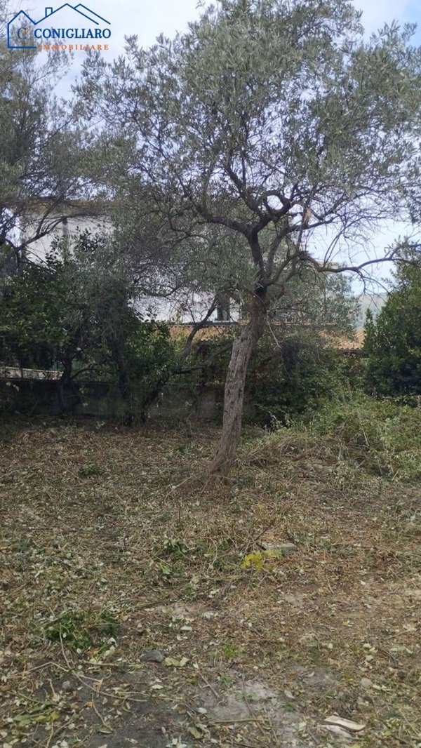 casa indipendente in vendita a Torretta