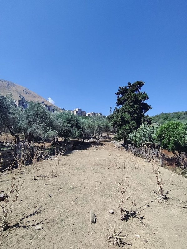 terreno agricolo in vendita a Torretta