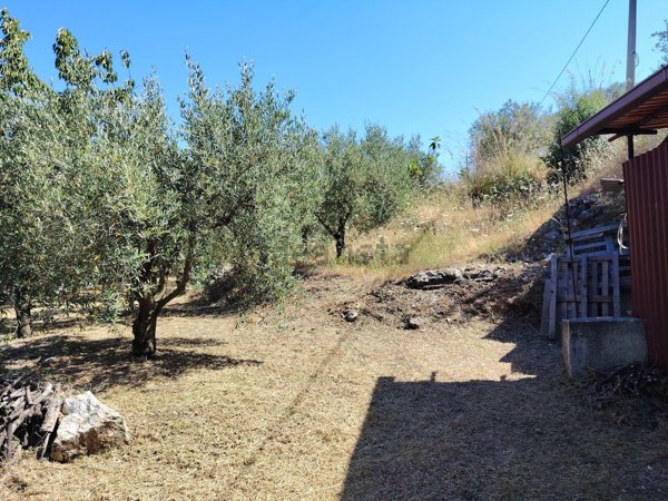 terreno agricolo in vendita a Torretta