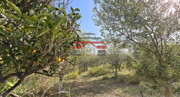 terreno agricolo in vendita a Trabia in zona San Nicola l'Arena