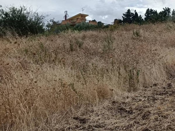 terreno agricolo in vendita a Trabia
