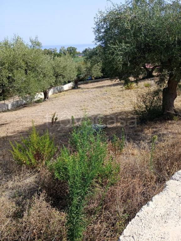 terreno agricolo in vendita a Trabia