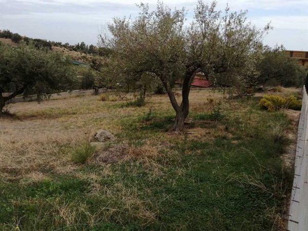 terreno edificabile in vendita a Trabia