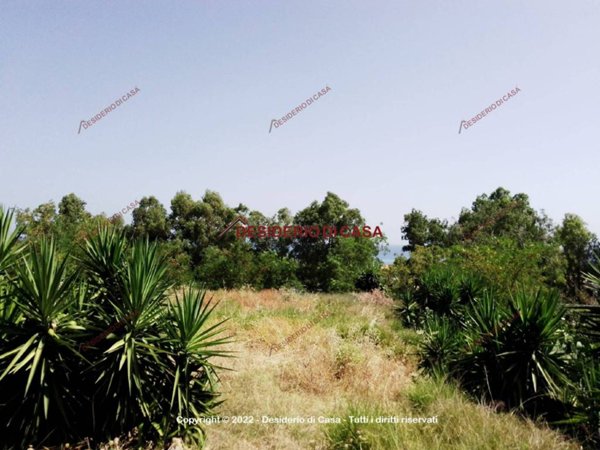 terreno agricolo in vendita a Trabia in zona Sant'Onofrio