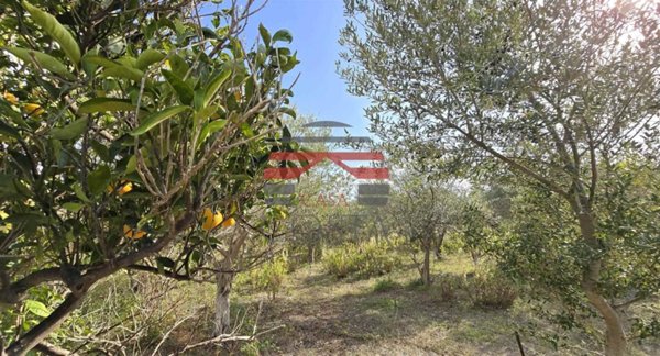 casa indipendente in vendita a Trabia in zona Sant'Onofrio