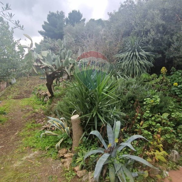casa indipendente in vendita a Trabia