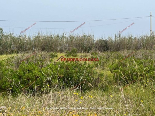 terreno agricolo in vendita a Trabia
