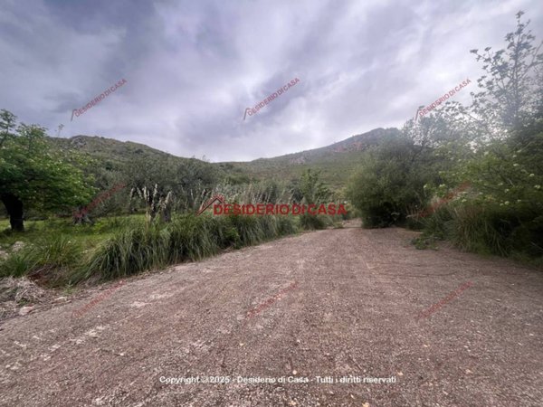 terreno agricolo in vendita a Trabia