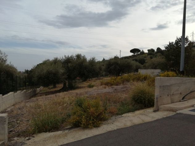 terreno agricolo in vendita a Trabia