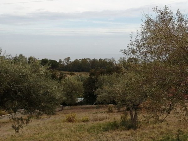 immagine annuncio 0 di 5