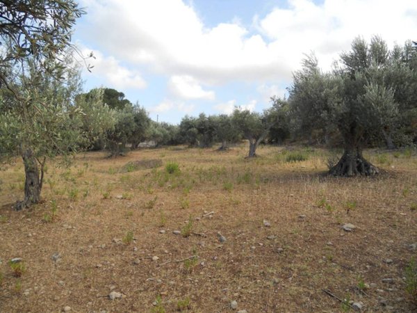 terreno agricolo in vendita a Trabia in zona Sant'Onofrio
