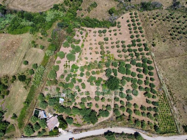 terreno agricolo in vendita a Trabia
