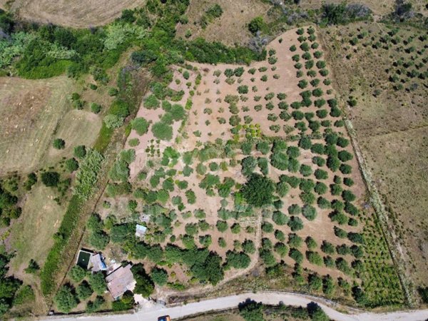 terreno agricolo in vendita a Trabia
