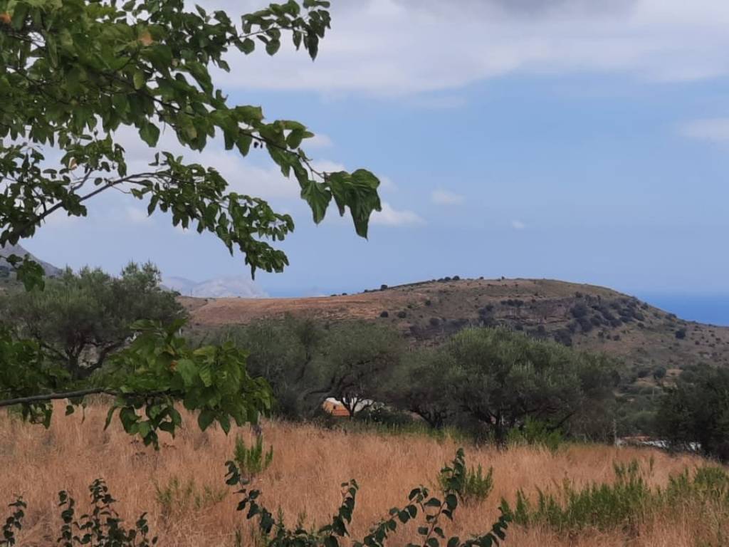 terreno agricolo in vendita a Trabia