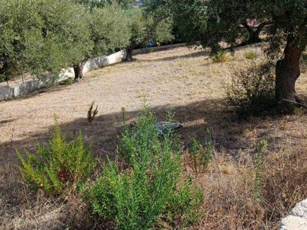 terreno agricolo in vendita a Trabia