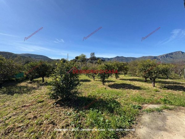terreno agricolo in vendita a Trabia
