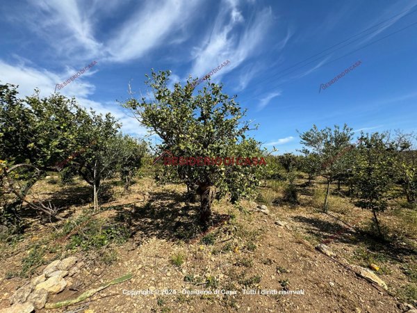 casa indipendente in vendita a Trabia