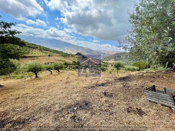 terreno agricolo in vendita a Trabia