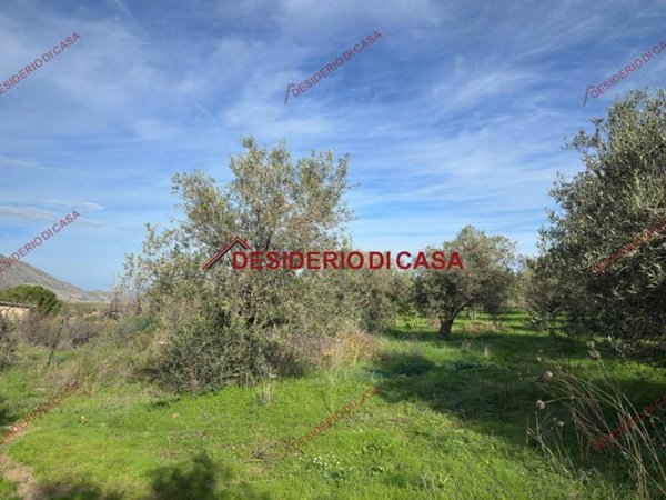 terreno agricolo in vendita a Trabia