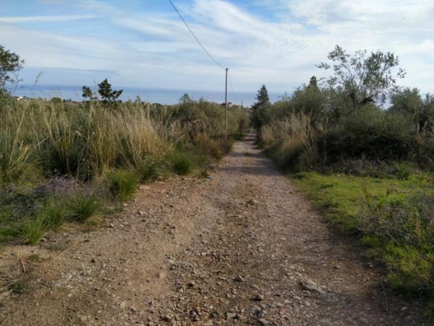 terreno agricolo in vendita a Trabia