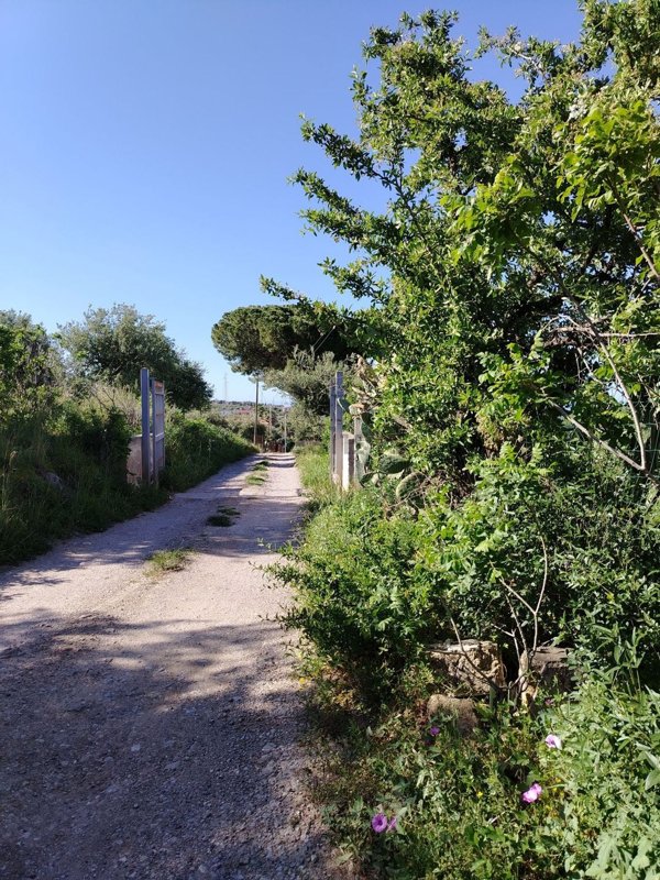 terreno agricolo in vendita a Trabia