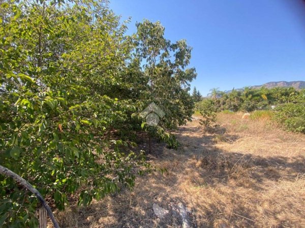 terreno agricolo in vendita a Trabia