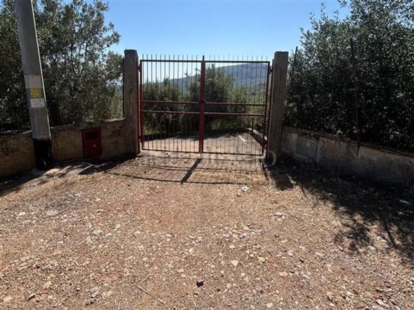 casa indipendente in vendita a Trabia