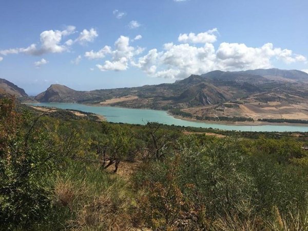 terreno agricolo in vendita a Trabia