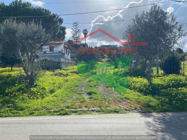 terreno agricolo in vendita a Trappeto