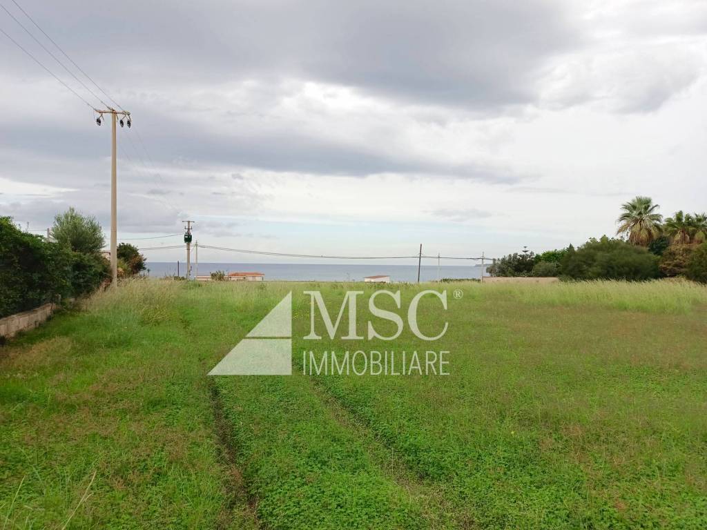 terreno agricolo in vendita a Trappeto