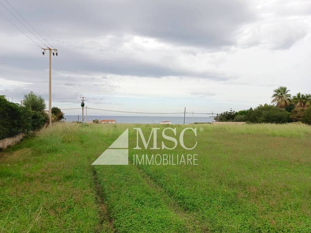 terreno agricolo in vendita a Trappeto