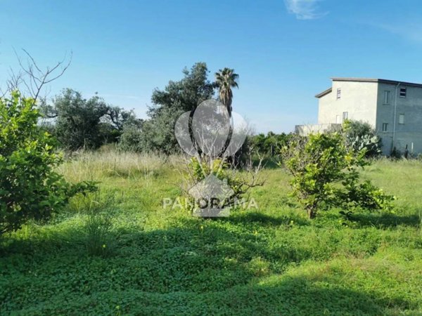 terreno agricolo in vendita a Trappeto